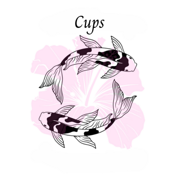 Cups